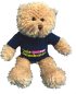 Preview: Teddybär 23cm groß